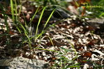 IMG_5065f