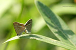 IMG_2123re