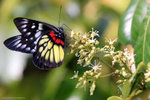 IMG_2216re