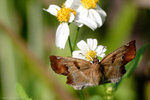 IMG_2227re