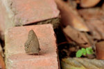 IMG_2732re