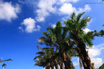 IMG_7287re