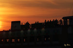 IMG_8894bre