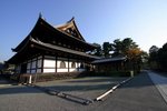 IMG_0873