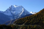 IMG_0800