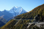 IMG_0801
