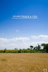 hokkaido08096S