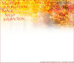 CLASS WEBSITE LAYOUT3