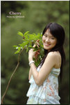 Cherry_004