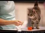 IMG_7807