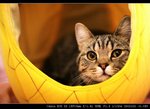 IMG_7889