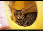 IMG_7928