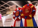 IMG_7933