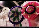 IMG_7935