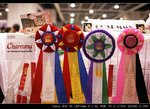 IMG_8001