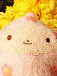 DSC04481a