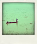 DSC03929-pola