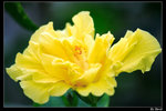 aIMG_4952