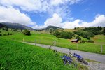 Swiss_2364