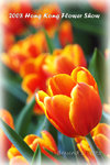 SHC_9771