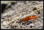 IMG_3383
