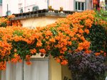 Img_6048