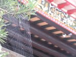 Img_6054