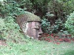 IMG_0040