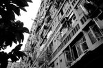 _MG_1103