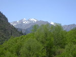 DSCN7584