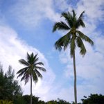 resort 的beach