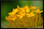 _J208732