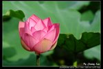 _J208820a
