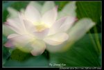 _J208891a
