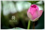 _JL40476