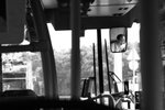 IMG_8421