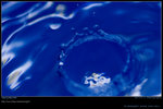 DSC_0014