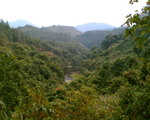 Image009