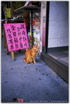 t3_roll0002_92250004