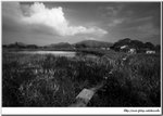 IMG_9692n
