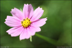 IMG_4467ed