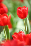 IMG_4510ed