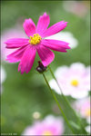 IMG_4542ed