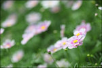 IMG_4556ed