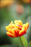 IMG_4581wed