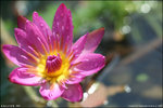 IMG_4667ed