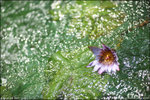 IMG_4678ed