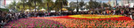 pano copy