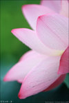 0705