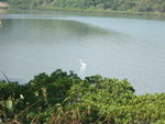 DSCF1758